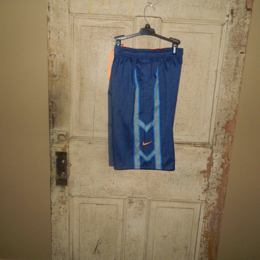 Nike Swim Trunks Mens Size M Blue (H-21)